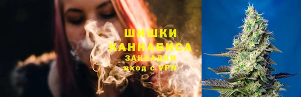 гидропоника Белоозёрский
