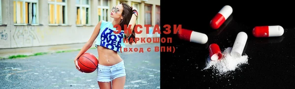 ECSTASY Богородицк